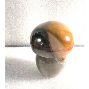 Very Pretty Polychrome Mushroom